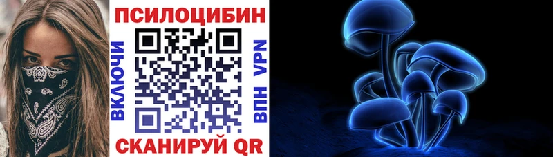 Псилоцибиновые грибы Psilocybine cubensis  мега зеркало  Кувшиново 